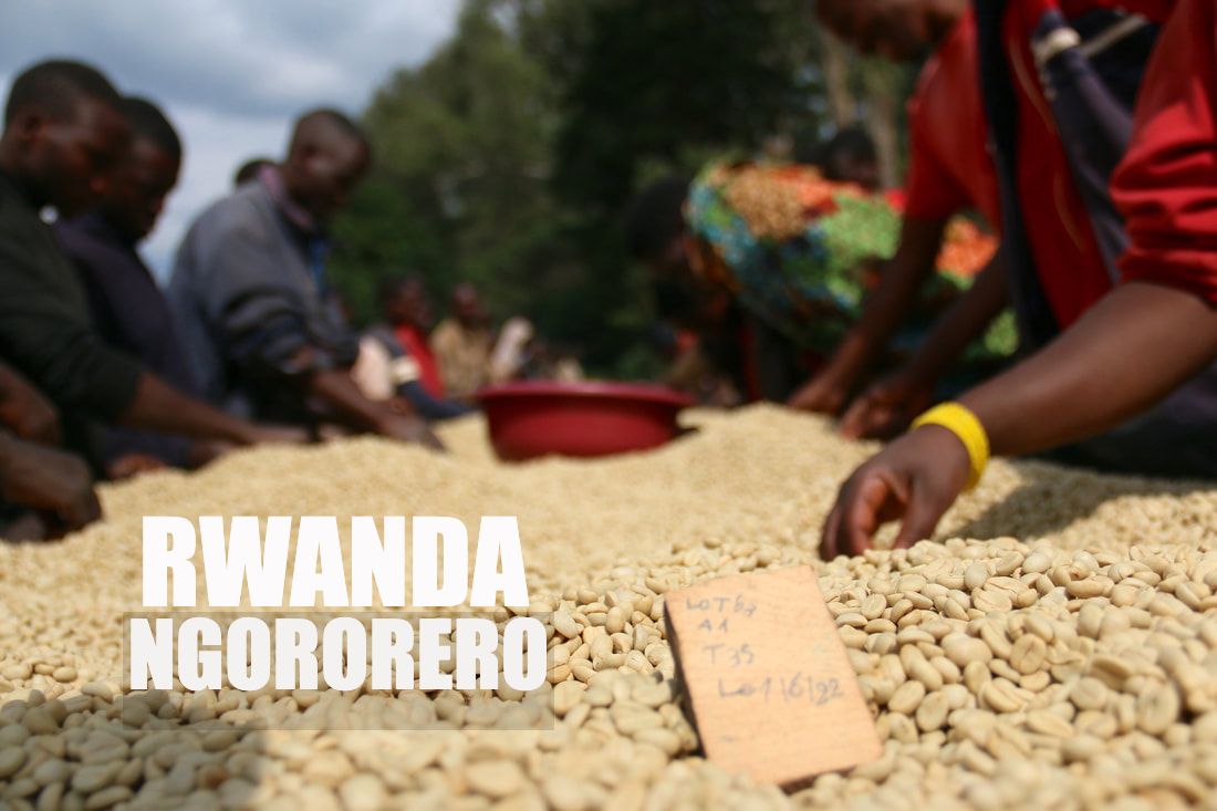 Educación  Kilimanjaro Specialty Coffees